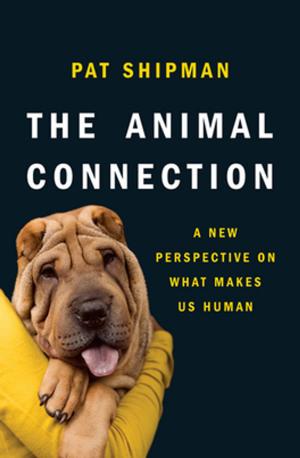 Cover of the book The Animal Connection: A New Perspective on What Makes Us Human by 