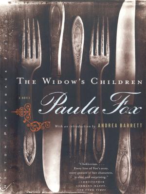Cover of the book The Widow's Children: A Novel by Eric Chudler