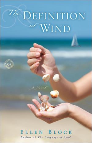 Cover of the book The Definition of Wind by Novak Djokovic