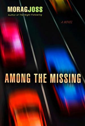 bigCover of the book Among the Missing by 