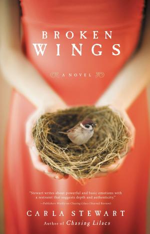Cover of the book Broken Wings by Pat Robertson