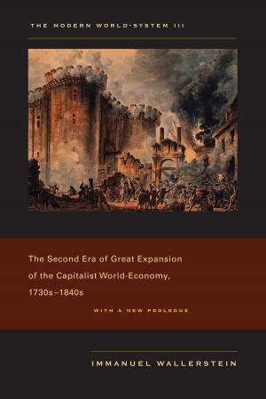Cover of the book The Modern World-System III by Martha Feldman