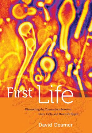 Cover of the book First Life by David Schneider