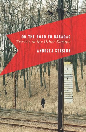 Cover of the book On the Road to Babadag by Cynthia Ozick