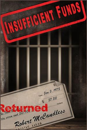 Cover of the book Insufficient Funds by Suzanne K Massee