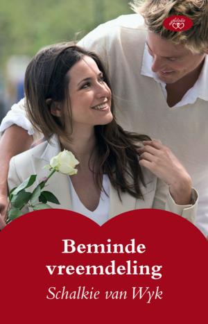 Cover of the book Beminde vreemdeling by Rudie Van Rensburg