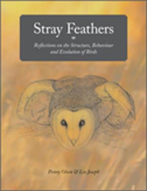 Cover of the book Stray Feathers by DE Rivett, CW Ward, LM Belkin, JAM Ramshaw, JFK Wilshire