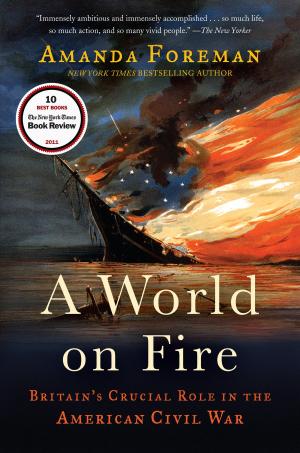 Cover of the book A World on Fire by Rex Stout