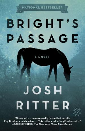 Cover of the book Bright's Passage by Kristine Kathryn Rusch