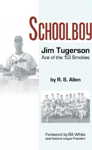 Book cover of Schoolboy: Ace of the '53 Smokies