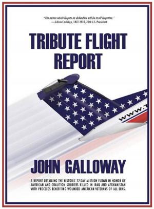 Cover of the book Tribute Flight Report by Melissa Cassel