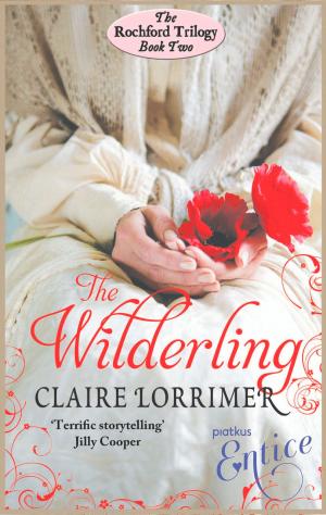 bigCover of the book The Wilderling by 