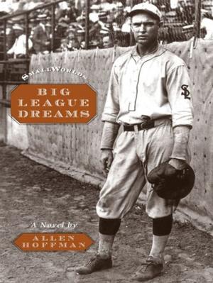 Cover of the book Big League Dreams by Armin A. Brott