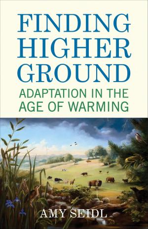 Cover of the book Finding Higher Ground by Michelle Kopra