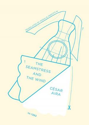Cover of the book The Seamstress and the Wind by Keith Ridgway