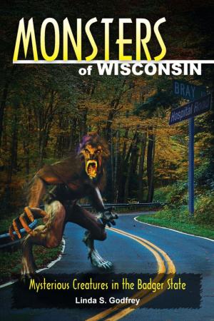 Cover of the book Monsters of Wisconsin by Sharon Hernes Silverman, Annie Modesitt