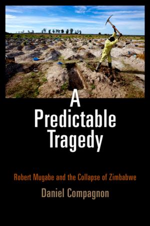 Cover of the book A Predictable Tragedy by Mark R. Cohen