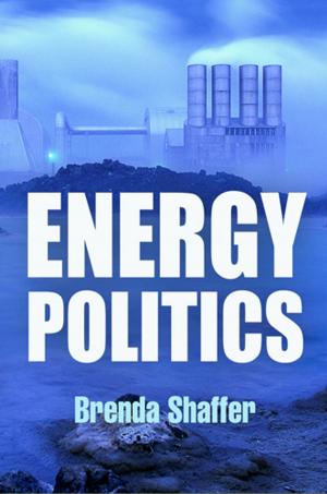bigCover of the book Energy Politics by 