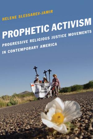 Cover of the book Prophetic Activism by Deborah A. Boehm