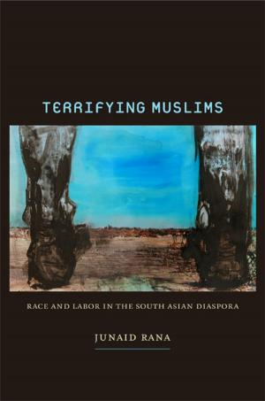 Cover of the book Terrifying Muslims by Rebecca Aanerud, T. Muraleedharan, Angie Chabram-Dernersesian, bell hooks