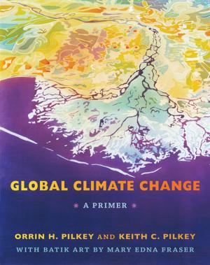 Cover of the book Global Climate Change by C. Eric Lincoln