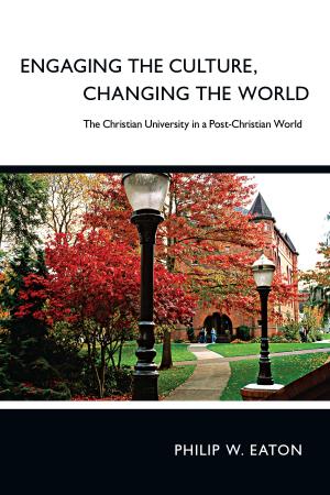 Cover of the book Engaging the Culture, Changing the World by Kelly M. Kapic