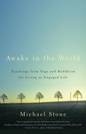 Cover of the book Awake in the World by Karma Chagme, Khenchen Thrangu