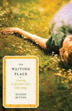 Cover of the book The Waiting Place by Jamin Goggin, Kyle Strobel