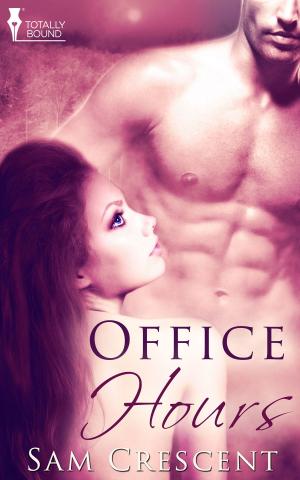 Cover of the book Office Hours by A.J. Llewellyn, D.J. Manly