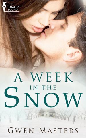 Cover of the book A Week in the Snow by J.S. Frankel