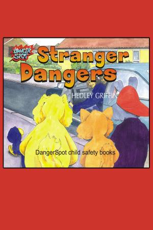 Cover of the book Stranger Dangers by Lynnette Porter