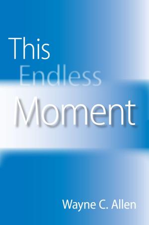 Book cover of This Endless Moment