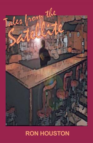 Book cover of Tales from The Satellite