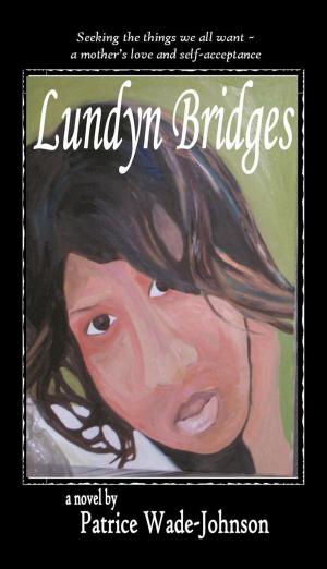 Book cover of Lundyn Bridges: seeking the things we all want