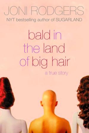 bigCover of the book Bald in the Land of Big Hair by 
