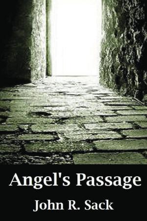 Book cover of Angel's Passage