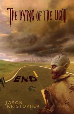 Cover of the book End by Hilary Comfort [Ed.], Gabrielle Alan, Wayne Basta, Leo King, Jason Kristopher, Lee Lackey, Austin Malone, George Wright Padgett, H. C. H. Ritz, Amy Theacasi, B. H. Werner