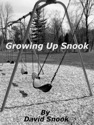 Book cover of Growing up Snook