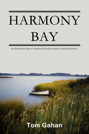 Cover of the book Harmony Bay by Dan Geller