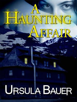Book cover of A Haunting Affair