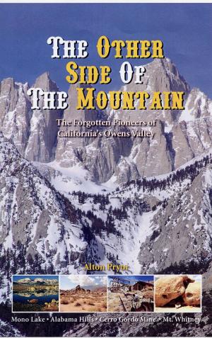 bigCover of the book The Other Side of the Mountain by 