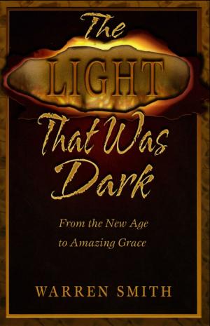 Book cover of The Light That Was Dark