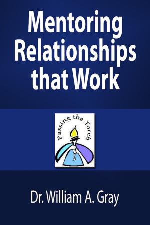 Book cover of Mentoring Relationships that Work