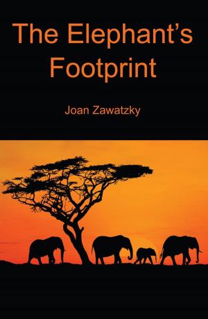 Book cover of The Elephants Footprint