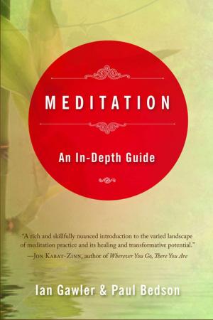 Cover of the book Meditation by Paula Uruburu
