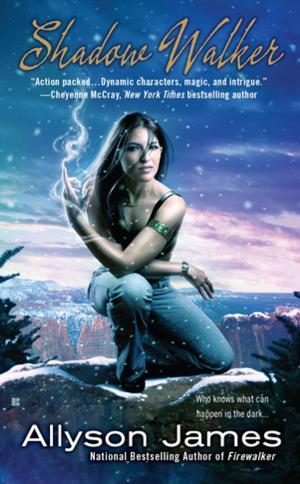 Cover of the book Shadow Walker by Katie Singer
