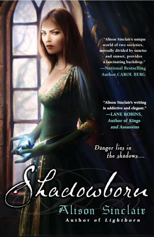 Cover of the book Shadowborn by Beverly Swerling