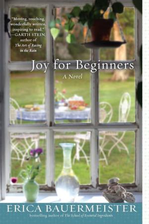 Cover of the book Joy For Beginners by Lawrence Lessig