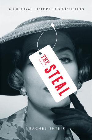 Cover of the book The Steal by Patti Callahan Henry