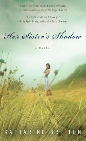 Cover of the book Her Sister's Shadow by Keith Lee Johnson